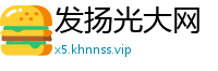 发扬光大网